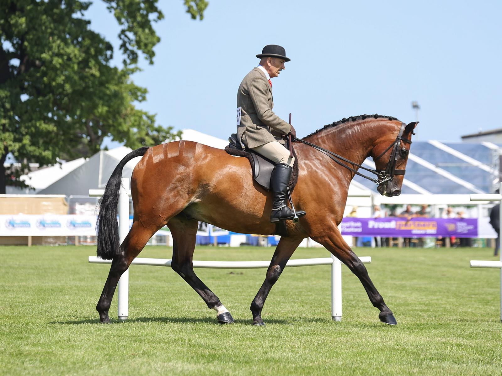UHI North, West and Hebrides Equine Team to Compete at Horse of the Year Show