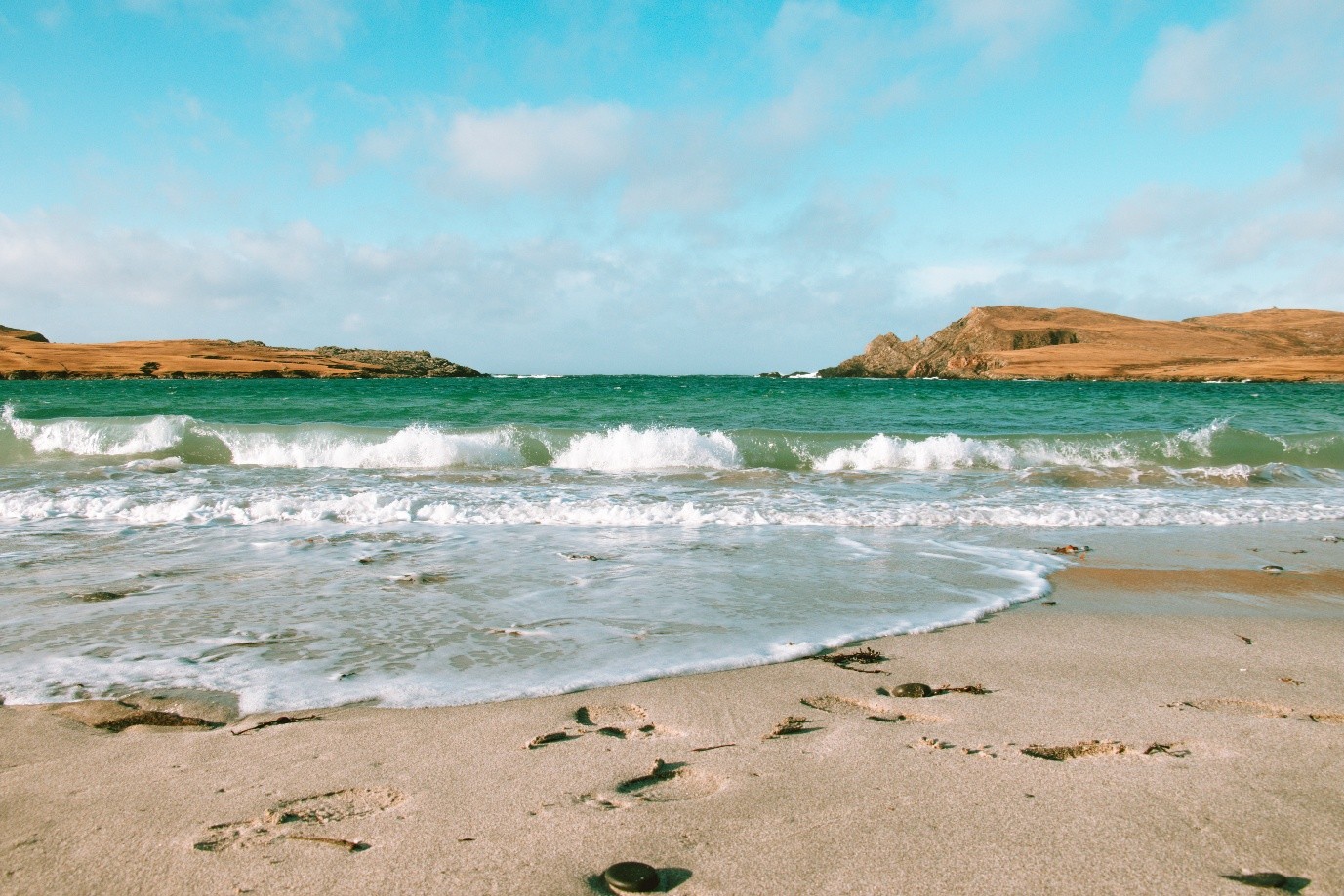 New marine restoration and enhancement guidance launched to support a thriving future for Shetland’s seas. New marine restoration and enhancement guidance launched to support a thriving future for Shetland’s seas.